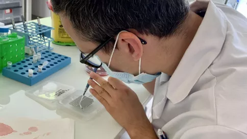 Scientifique avec un pipette qui examine des bactéries