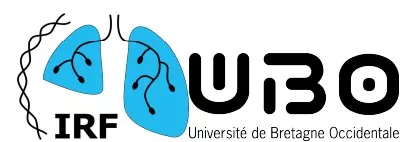 Logo Université de Bretagne Occidentale